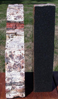 MASSIVE 26+ lb TIGER STRIPED Arizona Petrified Wood Bookend Set!!