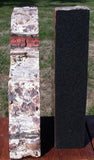 MASSIVE 26+ lb TIGER STRIPED Arizona Petrified Wood Bookend Set!!