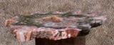 IMMACULATE African Rhexoxylon Petrified Wood Round - RARE FOSSIL Slab!