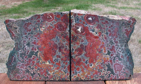 WILD & CRAZY 11 lb Green and Red Spotted Hampton Butte Oregon Petrified Wood Bookends