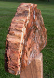 FLAMING ORANGE Madagascar Petrified Wood Sculpture: Colorful 10 lb. Mantel Piece