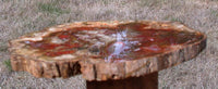 BRILLIANT DARK RED 9&quot; Madagascar Petrified Wood Round - My Latest Work!