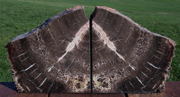 9 lb. Chinle CRYSTAL FOREST Petrified Wood Bookends - Arizona Fossil Gemstone!