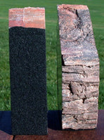 9 lb. Chinle CRYSTAL FOREST Petrified Wood Bookends - Arizona Fossil Gemstone!