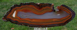 MUSEUM GRADE 7" PIRANHA Agate Specimen - Strikingly Colorful Crystal Pseudomorph Slab!
