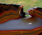 MUSEUM GRADE 7" PIRANHA Agate Specimen - Strikingly Colorful Crystal Pseudomorph Slab!