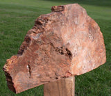 FLAMING ORANGE Madagascar Petrified Wood Sculpture: Colorful 10 lb. Mantel Piece