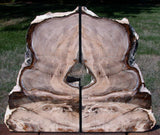 DRAMATIC ART in STONE 8 lb. Petrified Wood Bookend Set - Saddle Mtn. Wash.