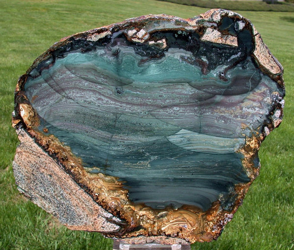 Magnificent 10&quot; TEAL BLUE MOUNTAIN Orbicular Picture Jasper Slab - Premium Cabinet Grade Specimen