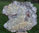 MIND BLOWING BLUE & White Crazy Lace Agate Specimen - Big 9&quot; Plate!