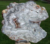 MIND BLOWING BLUE & White Crazy Lace Agate Specimen - Big 9&quot; Plate!