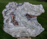 MIND BLOWING BLUE & White Crazy Lace Agate Specimen - Big 9" Plate!