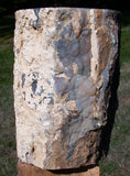 PERFECT 4 3/4 lb. Blue Forest Petrified Wood Log - Gorgeous Blue Agate in Fossil Wood!