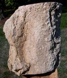 PERFECT 4 3/4 lb. Blue Forest Petrified Wood Log - Gorgeous Blue Agate in Fossil Wood!