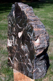 Polished Arizona Petrified Wood Sculpture: Black Woodworthia Log, 14+ lb