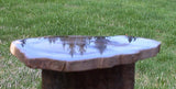 INCREDIBLE 7"+ Petrified CHERRY Wood Round - McDermitt Oregon, Polished Slab