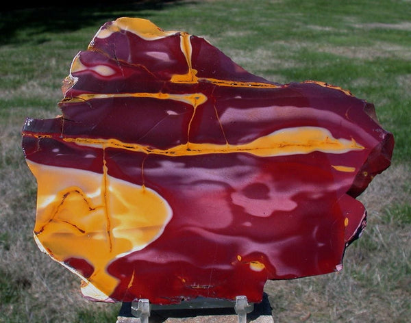 Australian Mookaite 7&quot; Polished Display Slab - BEAUTIFULLY POLISHED REDS!!