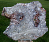 MIND BLOWING BLUE & White Crazy Lace Agate Specimen - Big 9" Plate!