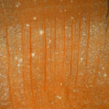 Rhex or Dadox? EXTREMELY RARE & ODD 5.5" Madagascar Petrified Wood Round!!