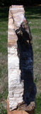 SIMPLY AMAZING 14+ lb. Madagascar Petrified Wood Log Mantle Piece - Beautifully Polished!