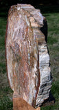 SIMPLY AMAZING 14+ lb. Madagascar Petrified Wood Log Mantle Piece - Beautifully Polished!