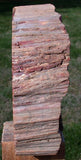 SPECTACULAR 5 3/4 lb.  Arizona RAINBOW Petrified Wood Conifer Log - Stunning Display Specimen!