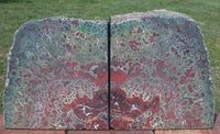 SiS: WILD & CRAZY 14 lb RED & GREEN Hampton Butte Oregon Petrified Wood Bookends