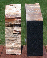 SiS: ANCIENT FOSSIL SEQUOIA 6+ lb. Petrified Wood Bookends - Ashwood Oregon!
