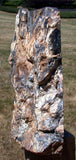 SiS: DARK & KNOTTY 7lb. Hubbard Basin Petrified Wood Log Standing Sculpture!!