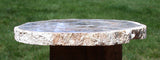SiS: CURIOUSLY BEAUTIFUL 5.5" Breccia Polished Argentina Petrified Wood Round