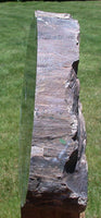 SiS: 9" Chinle Fossil WOODWORTHIA Petrified Wood Log Sculpture - North AZ Rarity