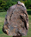 SiS: MUST SEE 14+ lb. Petrified Wood SEQUOIA Sculpture - Mt. Adams Washington