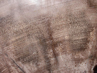 SiS: GIGANTIC 15"+ Ultra-Rare BURMESE Petrified Wood Round from MYANMAR