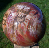 SiS: EXCEPTIONAL 5 lb. Petrified Wood Sphere - Beautiful Wood Grain and Color!