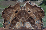 SiS: FANTASTIC 12 lb. Petrified Wood Bookend Set - McDermitt, OR - JUST AMAZING!
