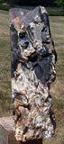 SiS: DARK & KNOTTY 7lb. Hubbard Basin Petrified Wood Log Standing Sculpture!!