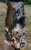 SiS: DARK & KNOTTY 7lb. Hubbard Basin Petrified Wood Log Standing Sculpture!!