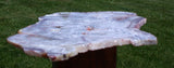 SiS: MIND BLOWING 12" BLUE & White Crazy Lace Agate Specimen - MUST SEE COLOR!!