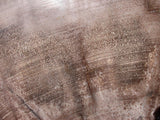 GIGANTIC 15"+ Ultra-Rare BURMESE Petrified Wood Round from MYANMAR