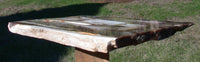 BIG & BEAUTIFUL 15" Saddle Mountain Fossil Conifer Rip Cut Petrified Wood Slab!