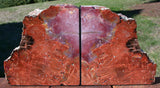 VIBRANT Rainbow Color 15+ lb. ARIZONA Petrified Wood Bookend Set!!