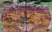 Huge CHRISTMAS COLOR Marston Ranch Jasper Bookends - Beautifully Polished Natural Stone!!