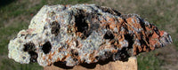 INCREDIBLE 5 1/2"  LAGUNA Mossy Agate Geode Nodule - Strikingly Beautiful & Unusually Dark Specimen!