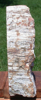 SIMPLY AMAZING 15" Madagascar Petrified Wood Log Mantle Piece - Beautifully Polished!