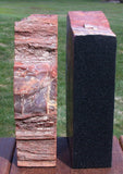 CLASSIC & COLORFUL 9.5 lb. Arizona RAINBOW Petrified Wood Bookend Set!!