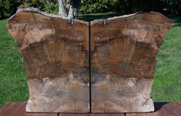 Petrified Wood Bookends - STUNNING 14 lb. Stinking Water Oak!