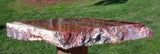 GLORIOUS 10" Arizona Rainbow Petrified Wood Slab - Stunning RIP CUT Plank!!