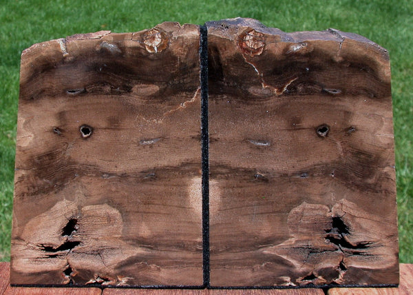 Dark Brown 8 lb Petrified Wood Bookend Set - McDermitt, Oregon - WARM WOODY COLORS!