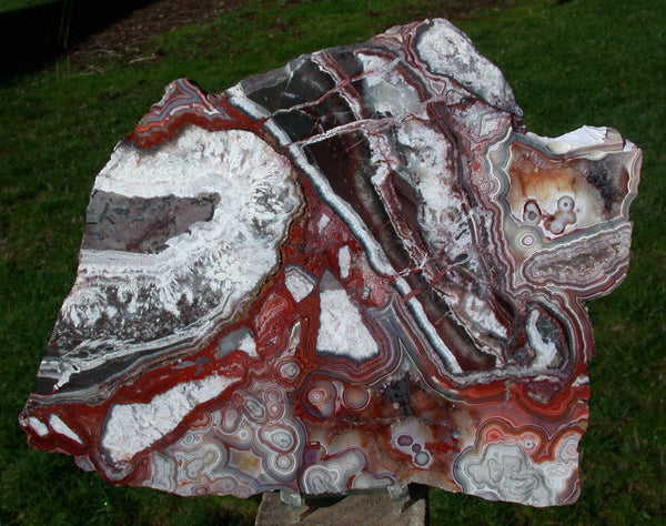 MAGNIFICENT New Crazy Lace Agate Specimen - Amazing Color in 9.5" Geode Slab!