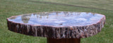 Premium CLASSIC COLOR 11" Madagascar Petrified Wood Round - GORGEOUS Natural Art Plate!